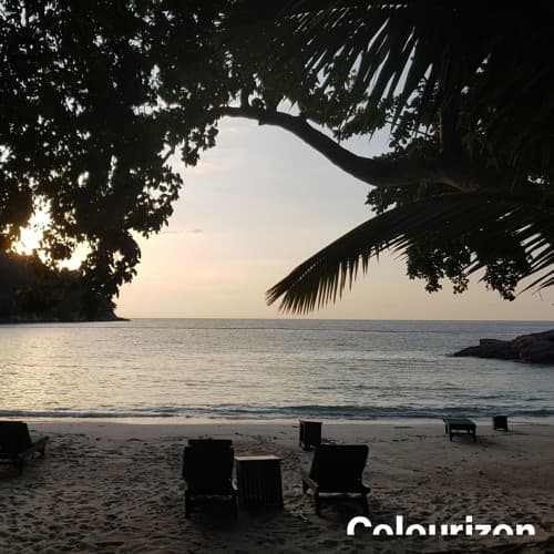 Miss Melera ° Colourizon 076 ° Jan 2019