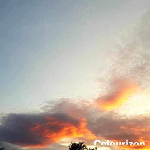 Miss Melera ° Colourizon 086 ° Nov 2019